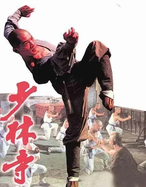 少林寺的导演武术指导是谁?(电视剧荷尔蒙导演)