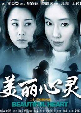 你心目中的最好看的谍战剧前十部都有哪些?(美丽心灵导演介绍)