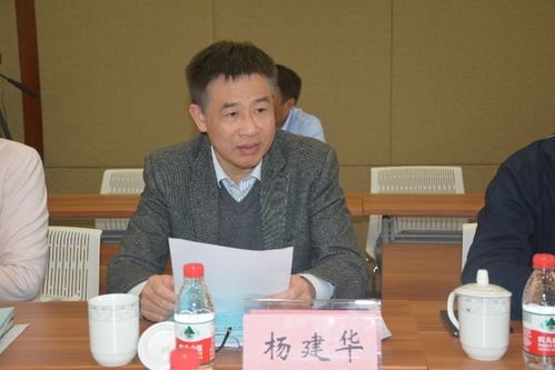 杨督察是谁演的?(导演杨建华)