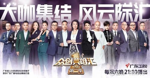 创业英雄汇哪个项目融资最多？(创业英雄汇的导演是谁)