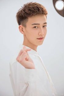 哥你好张驰有出演吗？