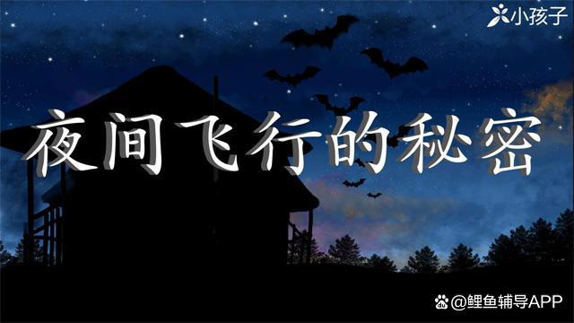 夜间飞行的秘密第四至第六自然段给我们了什么启示？