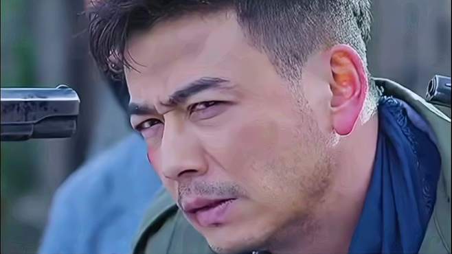 陆凯杨烁演的什么电视剧？