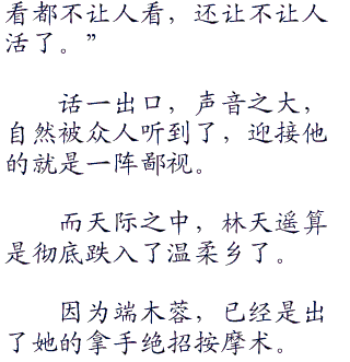 傻子老祖林天是什么书?