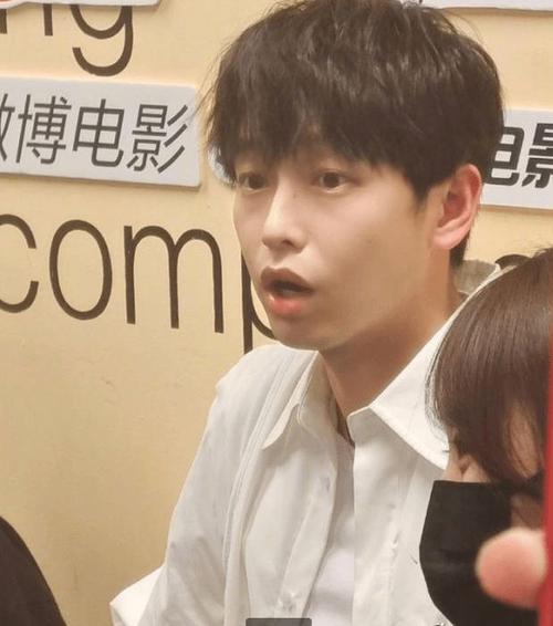 青红电影有彭昱畅吗?