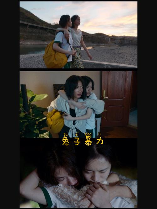 兔子暴力讲述了一个什么样的故事?