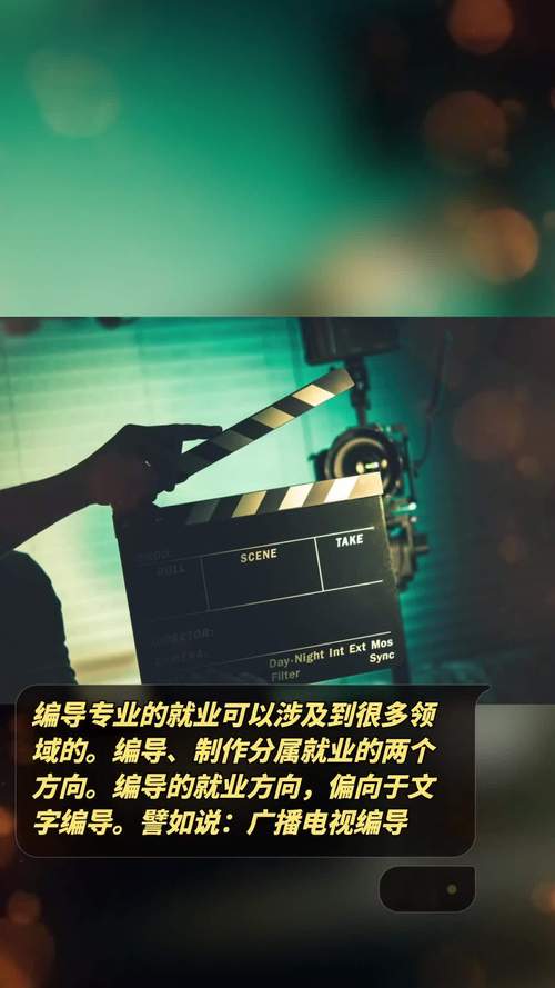 一个合格的导演应该具备什么素质?