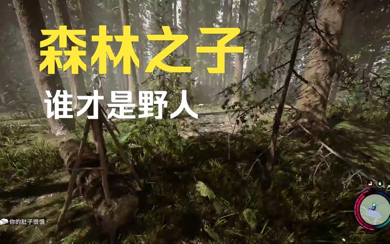 森林之子怎么吃喝？