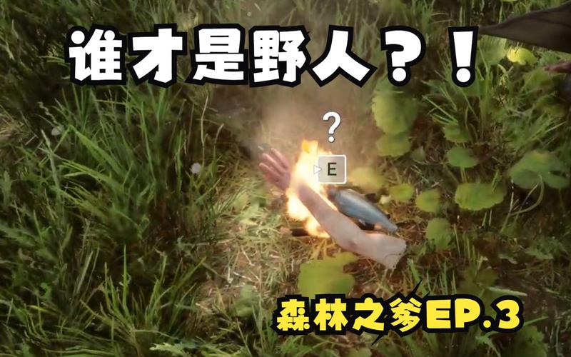 森林之子怎么吃喝?