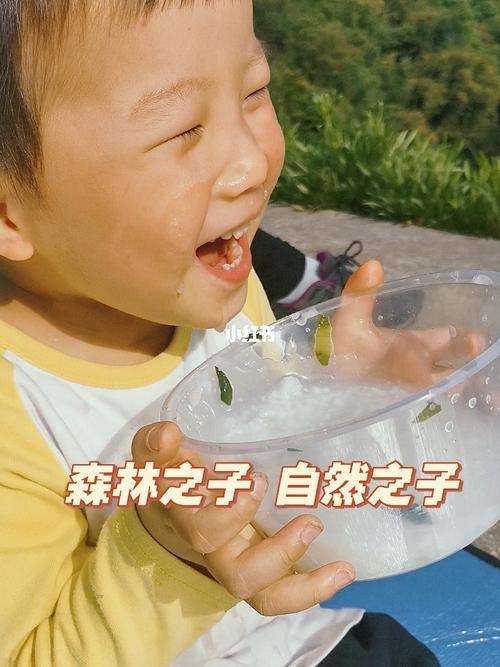 森林之子怎么吃喝?