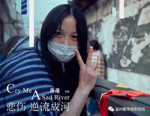 落落导演过哪些电影？