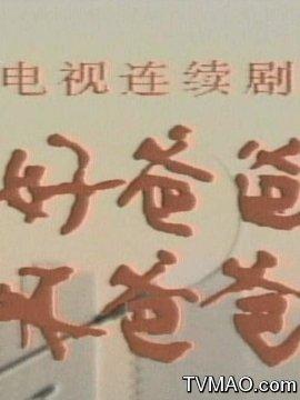好爸爸坏爸爸1987年连续剧？