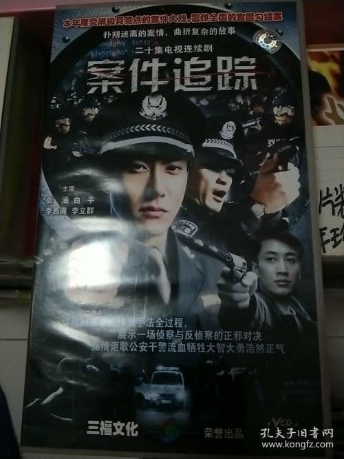 能否推荐几个内地破案纪实的电视剧电影？