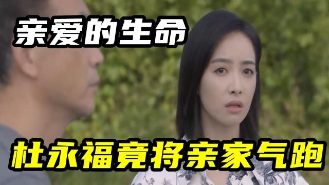 亲爱的生命导演?