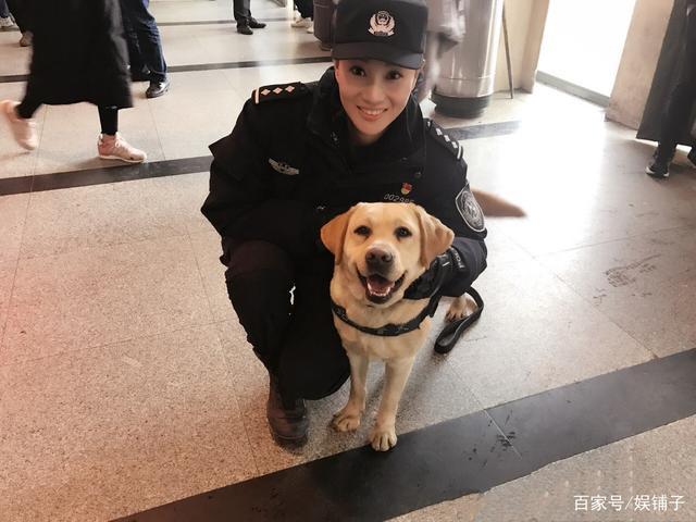 2023年七月警花与警犬哪个台播？