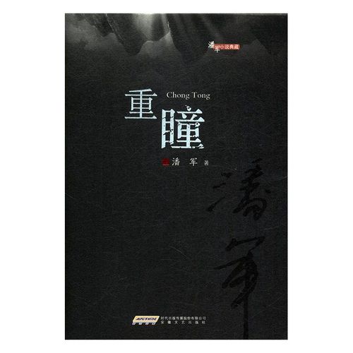 关于重瞳的小说有哪些?