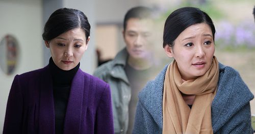 徐帆演了哪些电视剧?