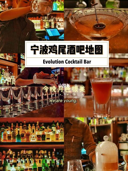 清吧怎么点酒?《老炮儿》导演版下载