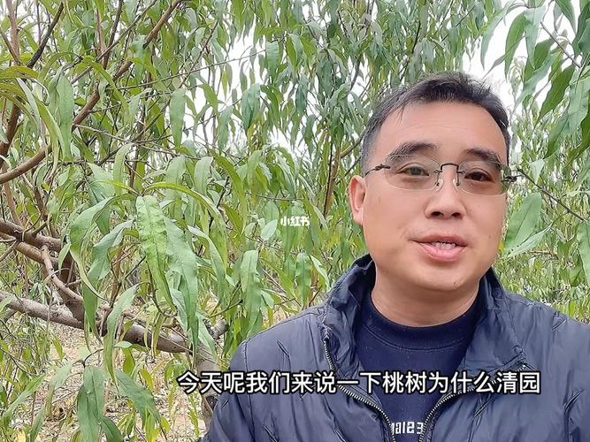 桃树秋季清园用什么药？穷小子第一天上班救了总裁千金是什么电影啊？ 