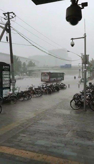 北京8月份哪天雨最大？岩井俊二，的主要作品，与特点？ 