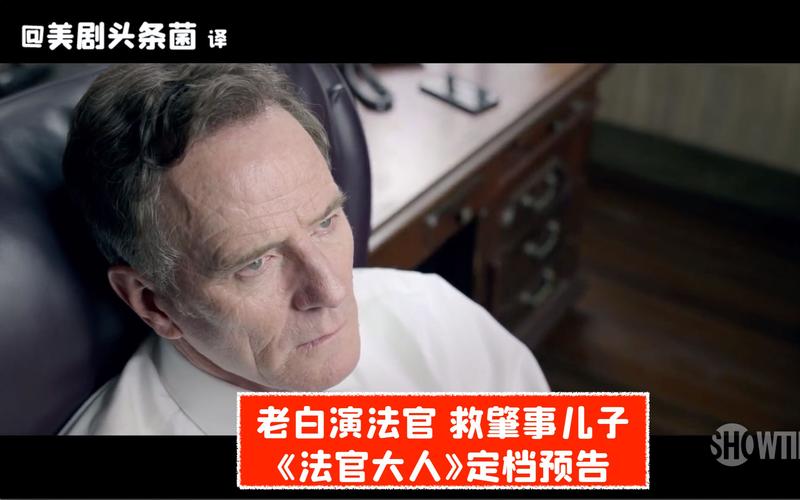 法官大人一共多少季？潜伏者是哪一年播的？ 