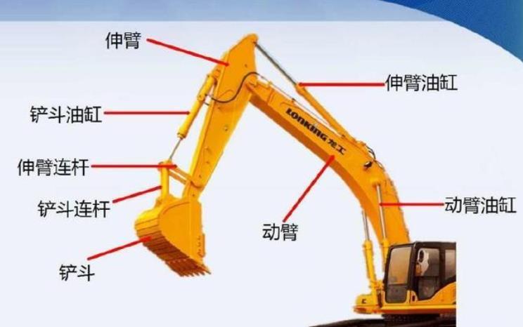 金燕子书生扮演者?龙丹妮为什么叫挖掘机?