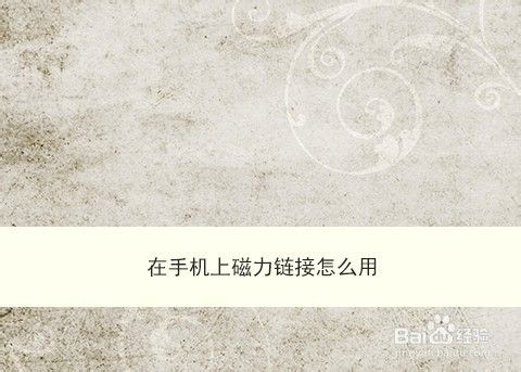 手机怎么用磁力连接?手机上磁力链接怎么用?把方法都说一下?