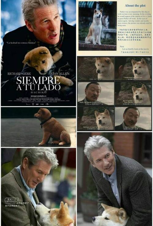 忠犬八公手机上什么时候能看？一条狗的使命的导演还导了哪些作品？ 
