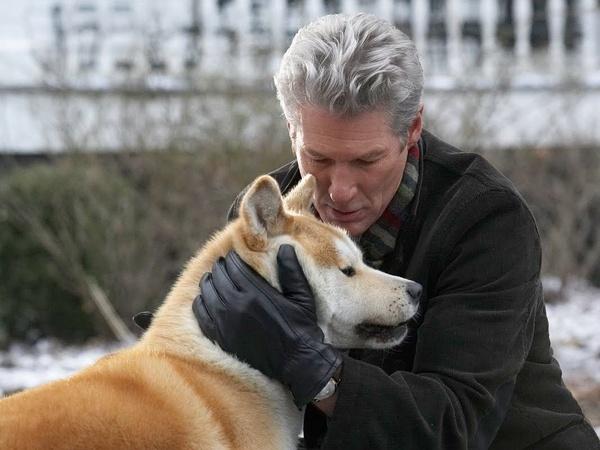忠犬八公手机上什么时候能看?一条狗的使命的导演还导了哪些作品?