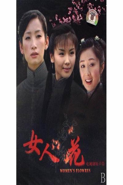 关于刘秀的电视?女人花电影阿福扮演者?