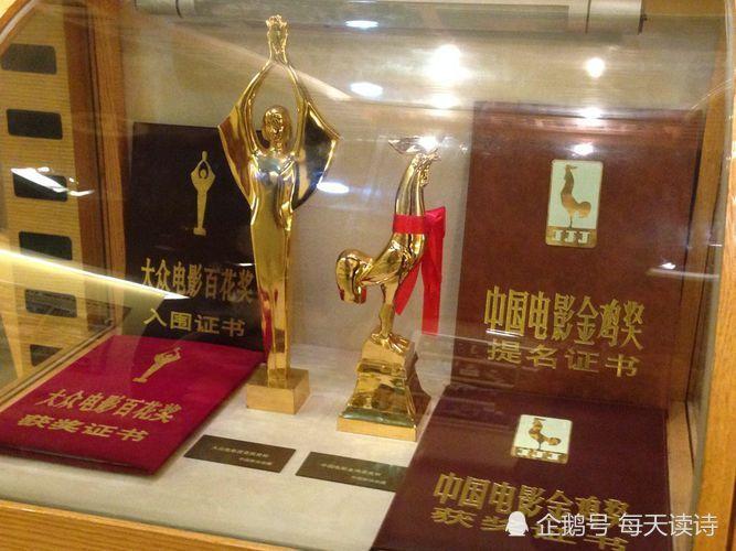 窗户前能种枣树吗？26届金鸡百花奖是哪年？ 