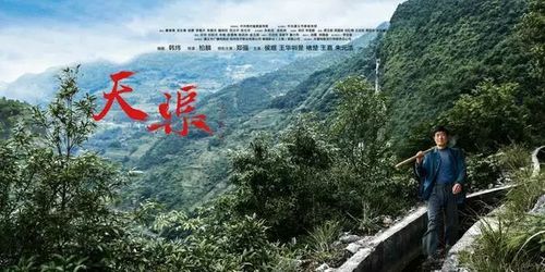 飞越13号房最后张扬为什么留下来?天渠电影的介绍?