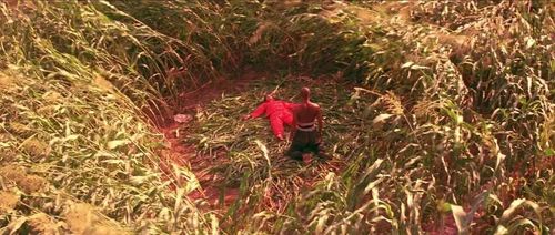 关于日本死后士兵鬼魂回乡的电影名称？红高粱电视剧里的日本人是谁扮演的？ 