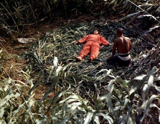 关于日本死后士兵鬼魂回乡的电影名称?红高粱电视剧里的日本人是谁扮演的?