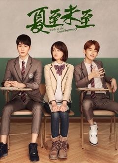 归路导演是三生三世的导演吗?夏至未至的导演?