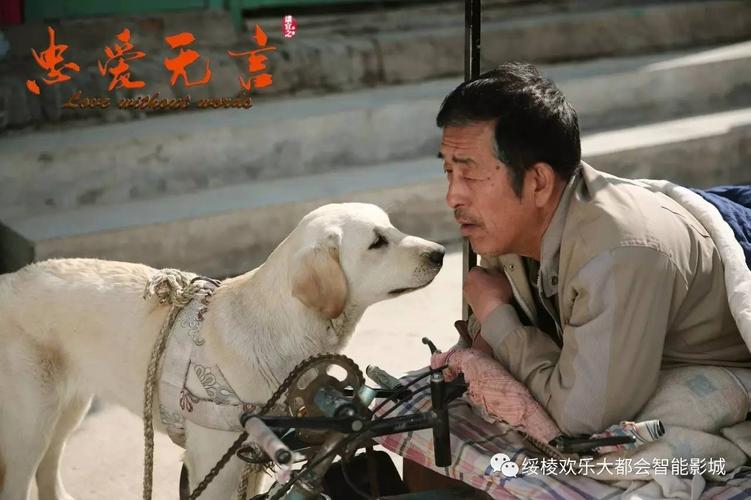 忠爱无言是真事吗？崔时宜怀的是谁的孩子？ 