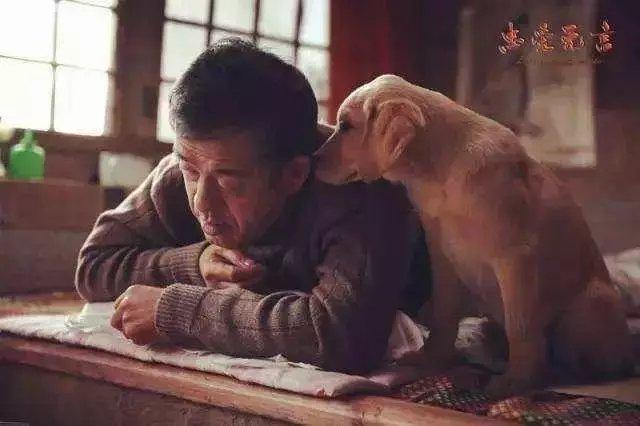 忠爱无言是真事吗?崔时宜怀的是谁的孩子?