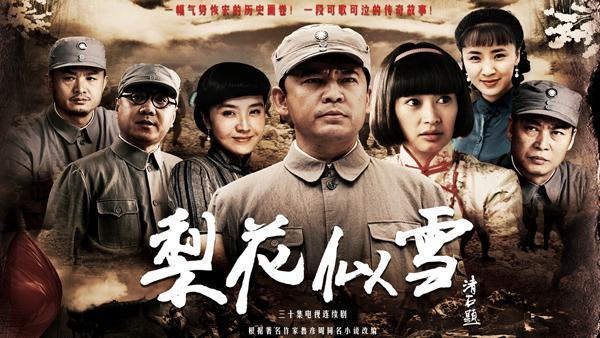 有个叫梨花的那个是什么电视剧？邵进 导演 