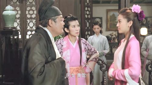 桃谷六仙扮演者？保安保护富家女的电影喜剧？ 