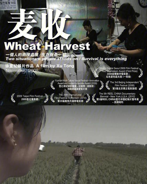 游民三部曲是哪一年的？谁有徐童的纪录片《麦收》？ 