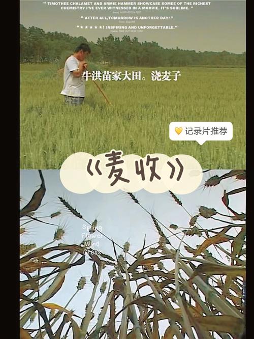 游民三部曲是哪一年的?谁有徐童的纪录片《麦收》?