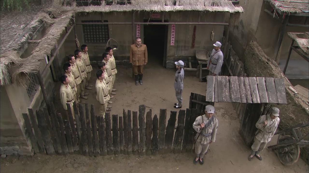 捕。狼行动首长儿子被撞是第几集?花家大小姐电视名叫啥?