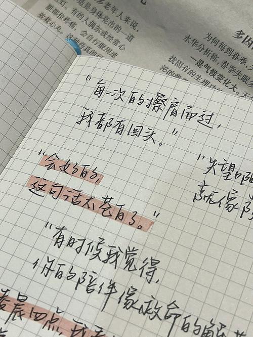 你的陪伴像救命的解药什么意思?四方坤御丹要什么材料?