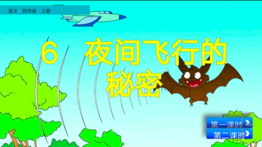夜间飞行的秘密是谁写的?夜里飞行的鸟类有几种?