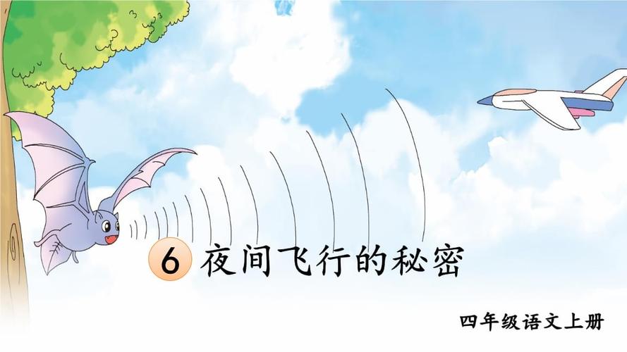 夜间飞行的秘密是谁写的？夜里飞行的鸟类有几种？ 