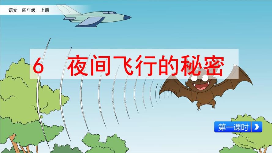 夜间飞行的秘密是谁写的?夜里飞行的鸟类有几种?