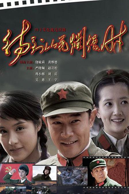 何倩是什么抗日电视剧?待到山花烂漫时导演?