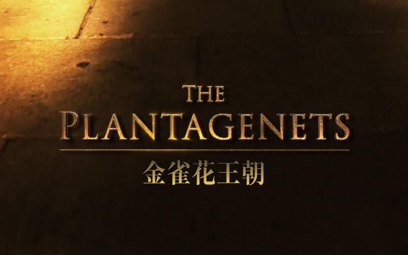 bbc纪录片王朝金雀花一共几集?蔡磊哪个学校毕业的?