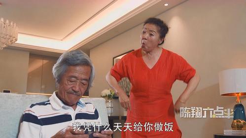 陈翔六点半大妈扮演者?陈翔六点半老太太是谁演的?