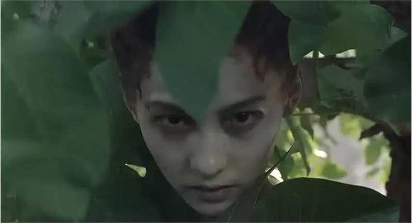 大只佬孙果为什么杀李凤仪?666号航班电影机长为啥杀人?